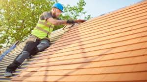 Best Roof Maintenance and Cleaning  in Vienna, IL