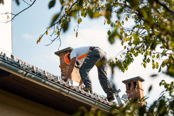 Best 4 Ply Roofing  in Vienna, IL